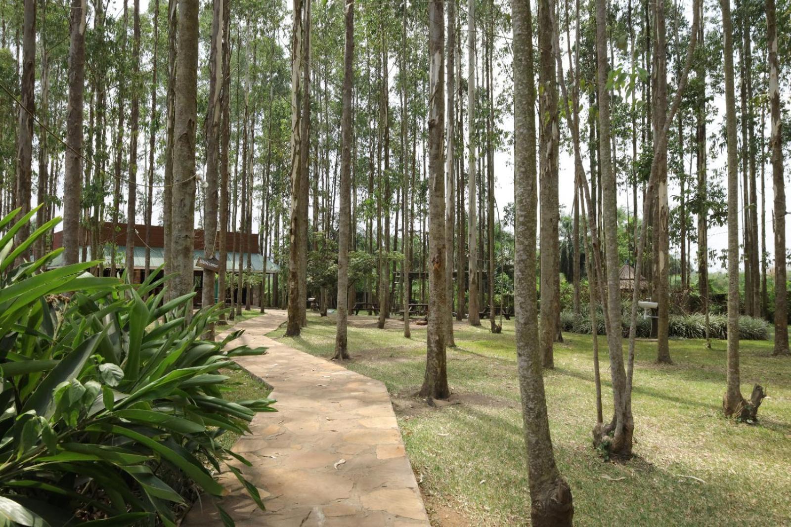 Kabalega Resort - Masindi Kültér fotó